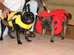 Bumble Duncan and Roc Lobster